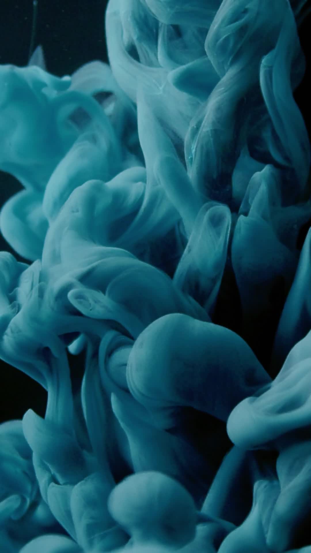 7565438-hd_1080_1920_25fps