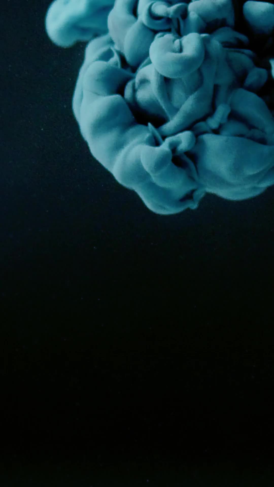 7565438-hd_1080_1920_25fps