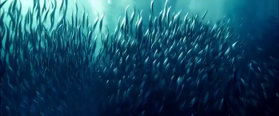 sample_960x400_ocean_with_audio