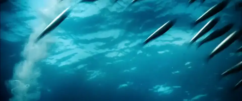 sample_960x400_ocean_with_audio