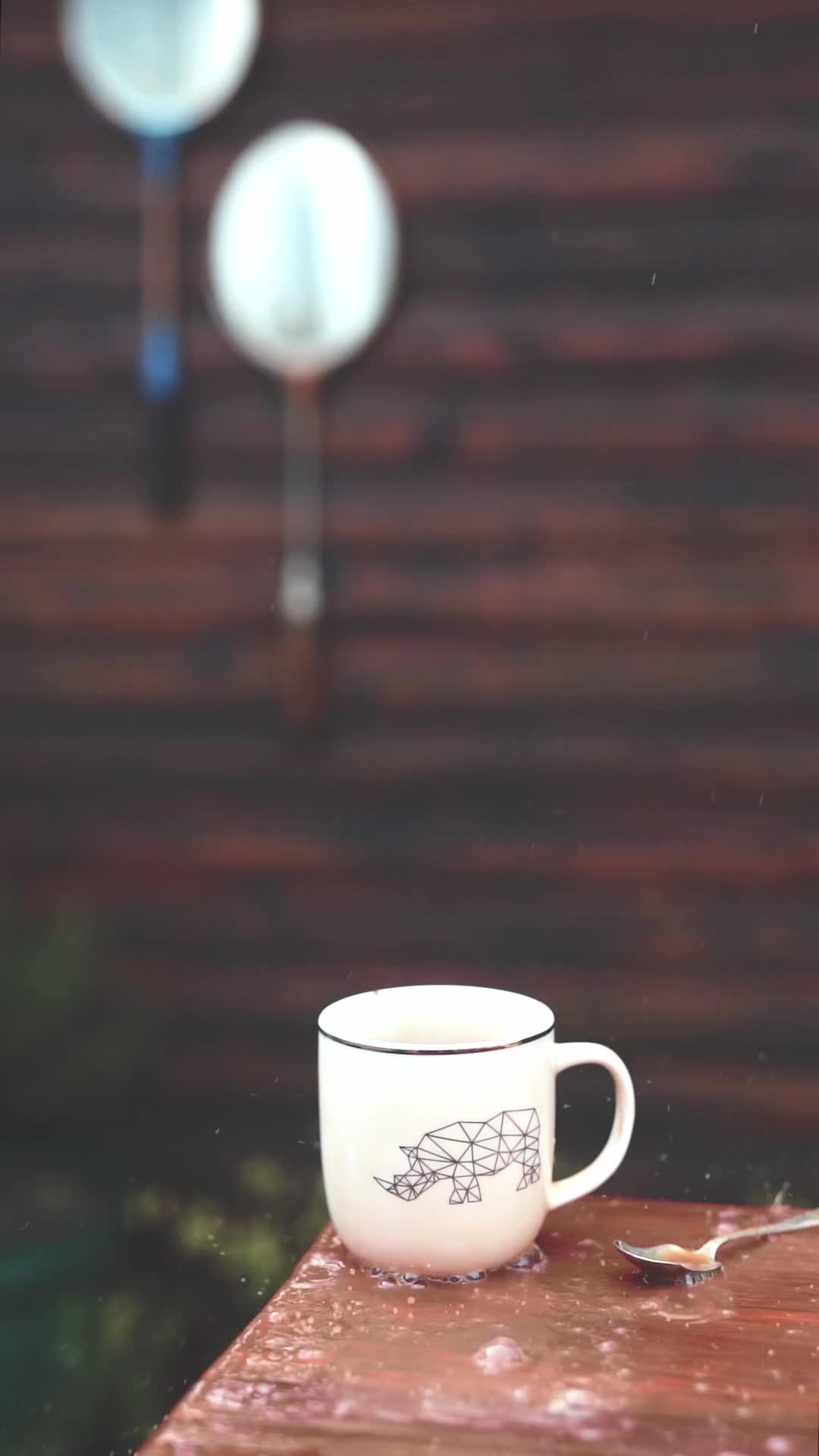 4281782-hd_1080_1920_25fps