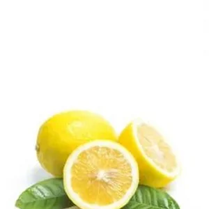 product11 free img 230x300.jpg
