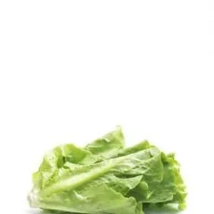 product13 free img 230x300.jpg