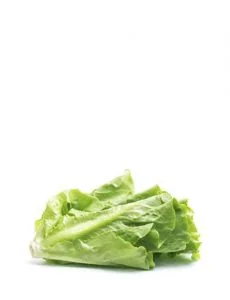 product13 free img 230x300.jpg