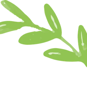 leaves free img