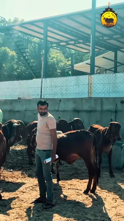 gaukulam-gaupujan