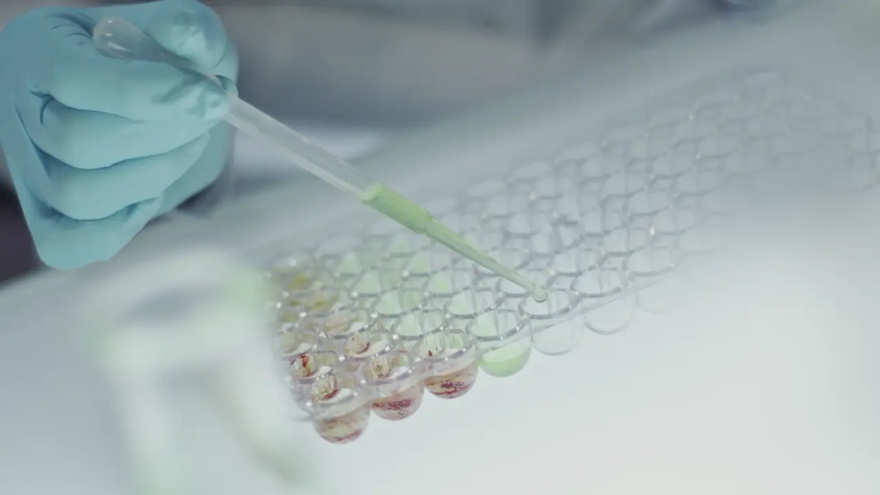 lab-video-original