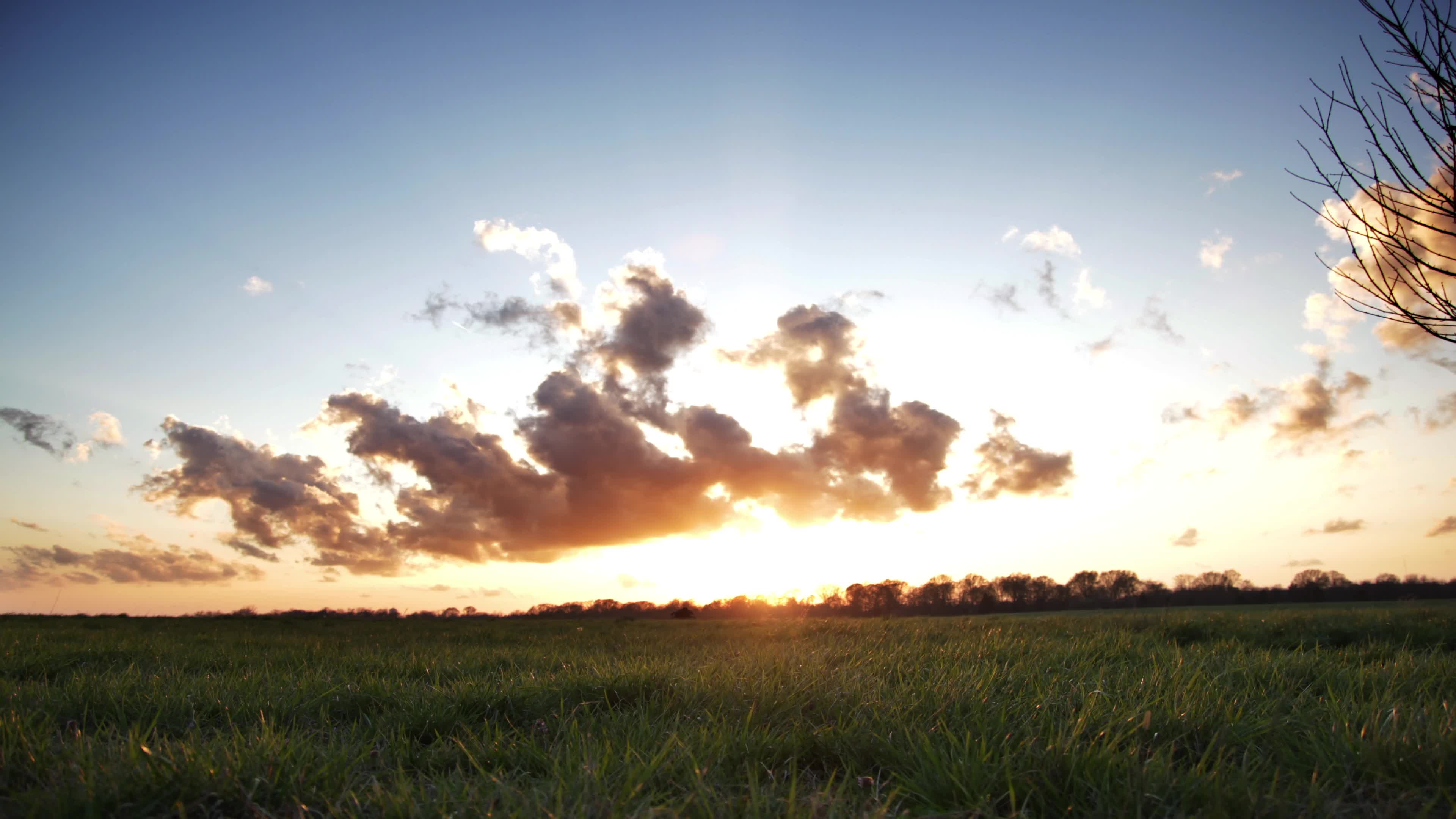 3366872-uhd_3840_2160_30fps