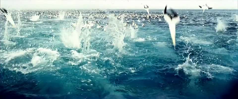 sample_960x400_ocean_with_audio