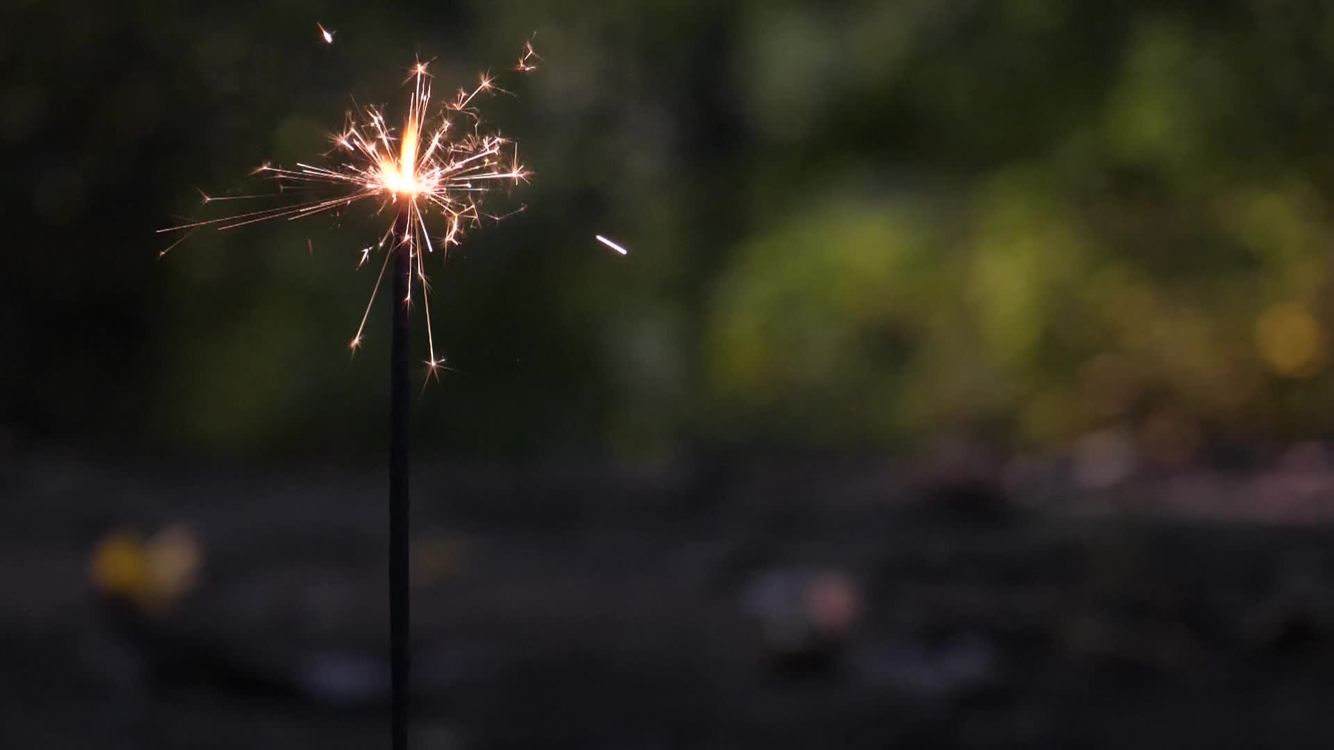 3153456-hd_1920_1080_25fps