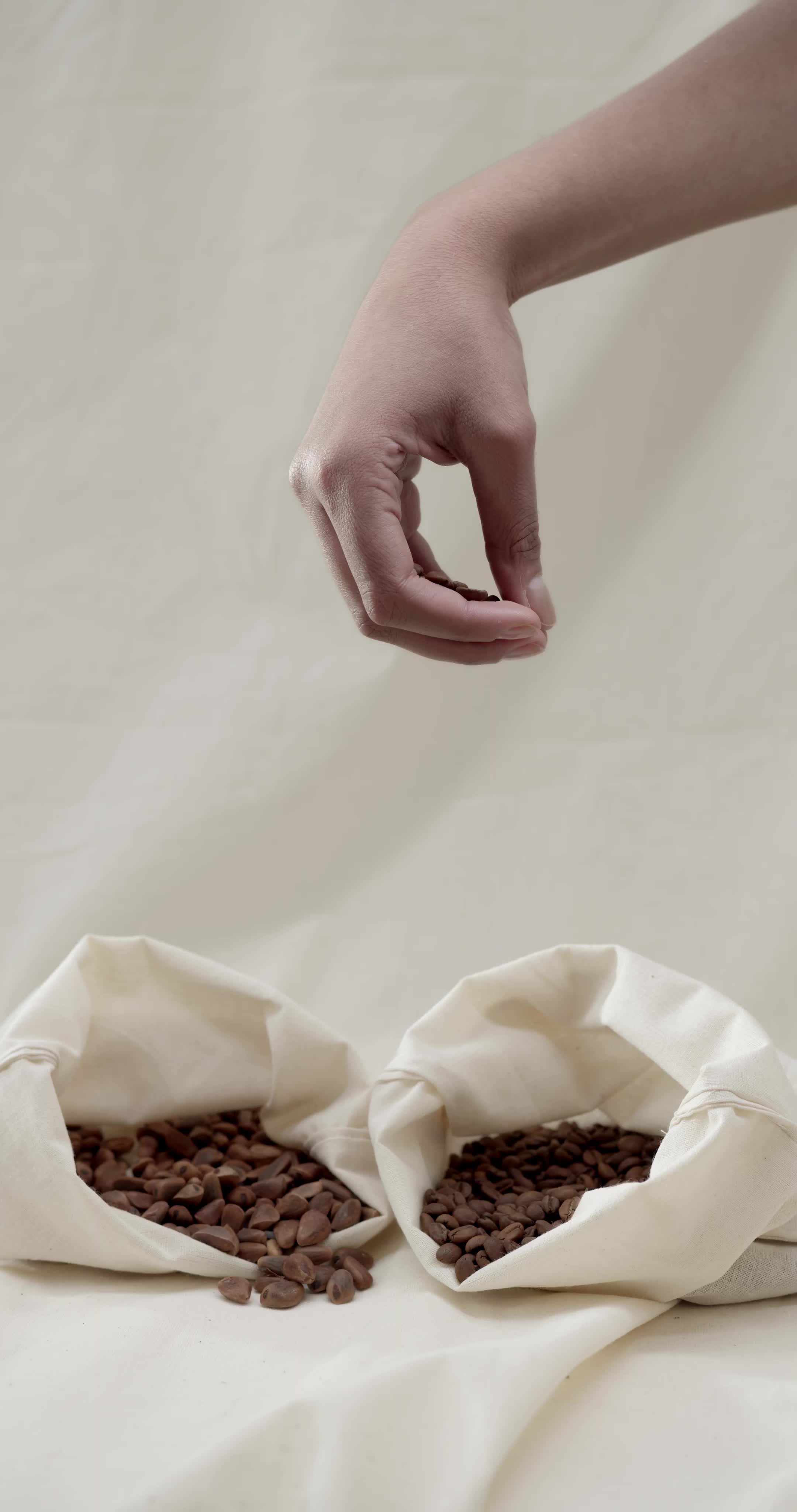 3756145-uhd_2160_4096_25fps