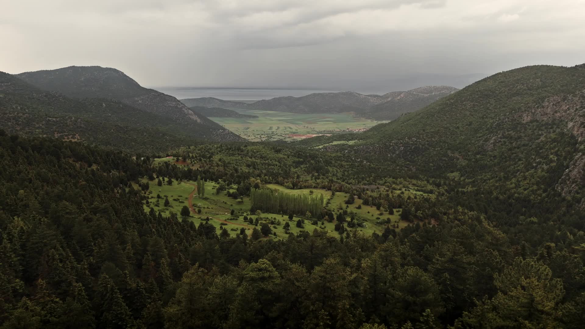 14669916_1920_1080_30fps