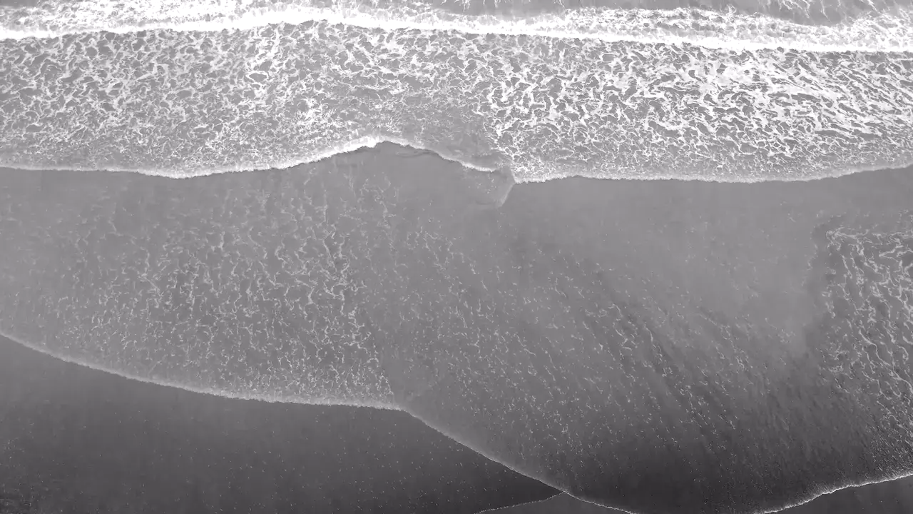 15044198_1280_720_24fps