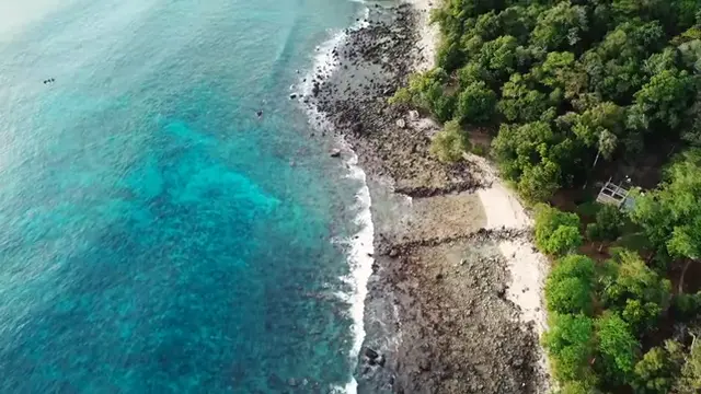 pexels_videos_1550080 (360p)