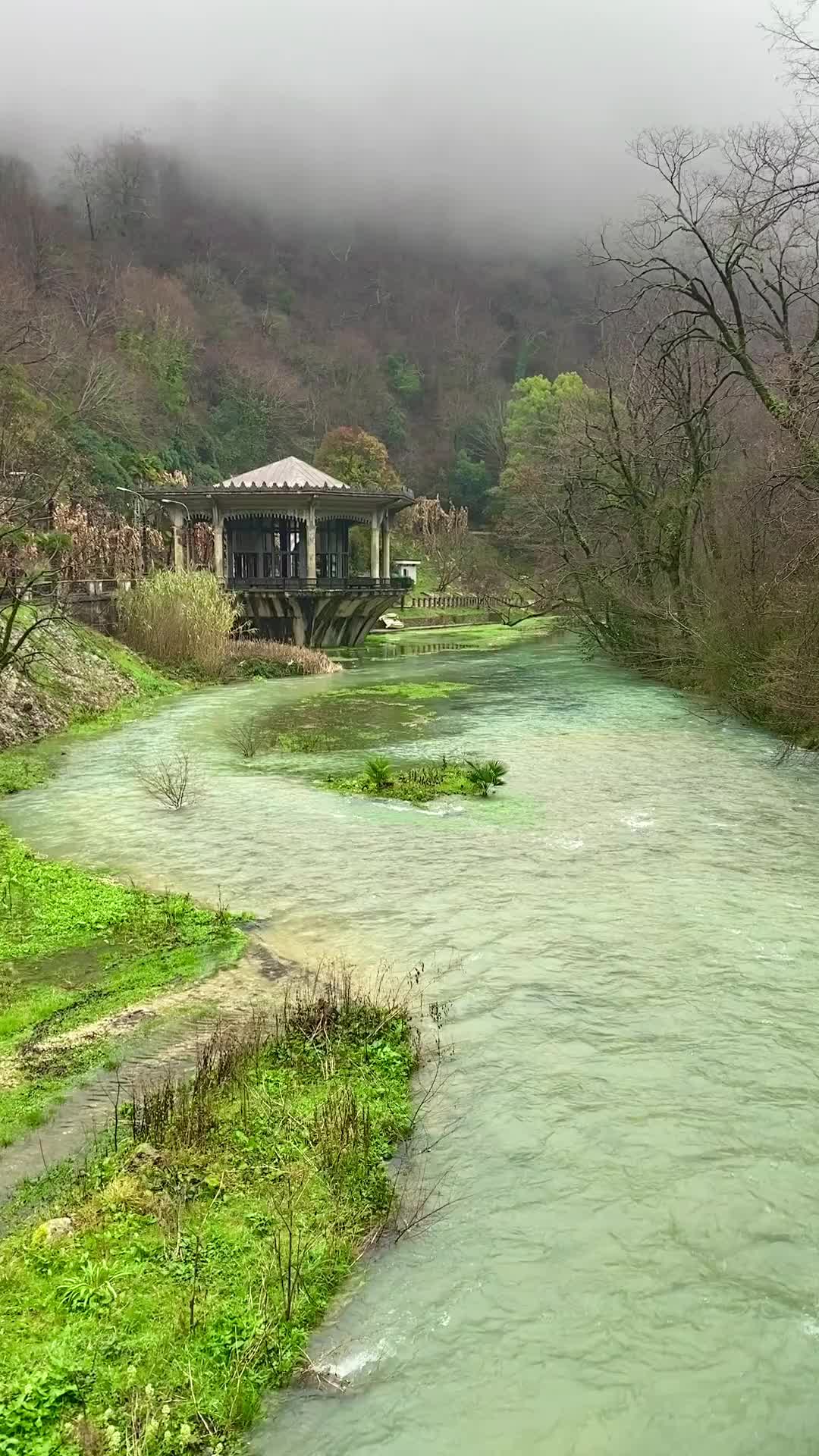 4448895-hd_1080_1920_30fps