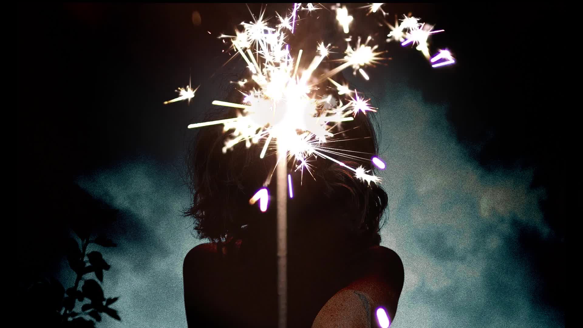 2343629-hd_1920_1080_24fps